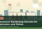 Container Gardening Secrets for Balconies and Patios