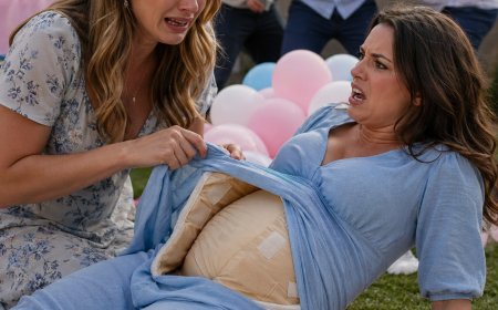 MY HUSBAND PUNCHED MY “PREGNANT” SISTER AT HER BABY SHOWER—AND EXPOSED A $30,000 PLAN TO STEAL A NEWBORN