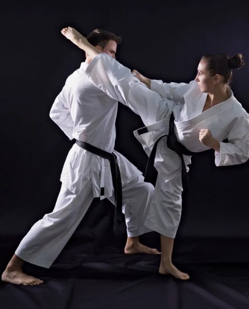 is-karate-or-jiu-jitsu-better-for-self-defense-1